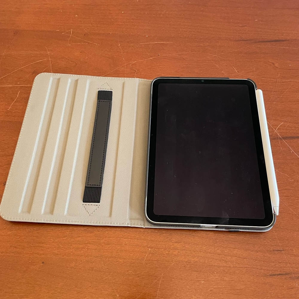 iPad Mini with Apple Pencil